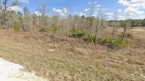 Courlan Road Weeki Wachee FL 34614