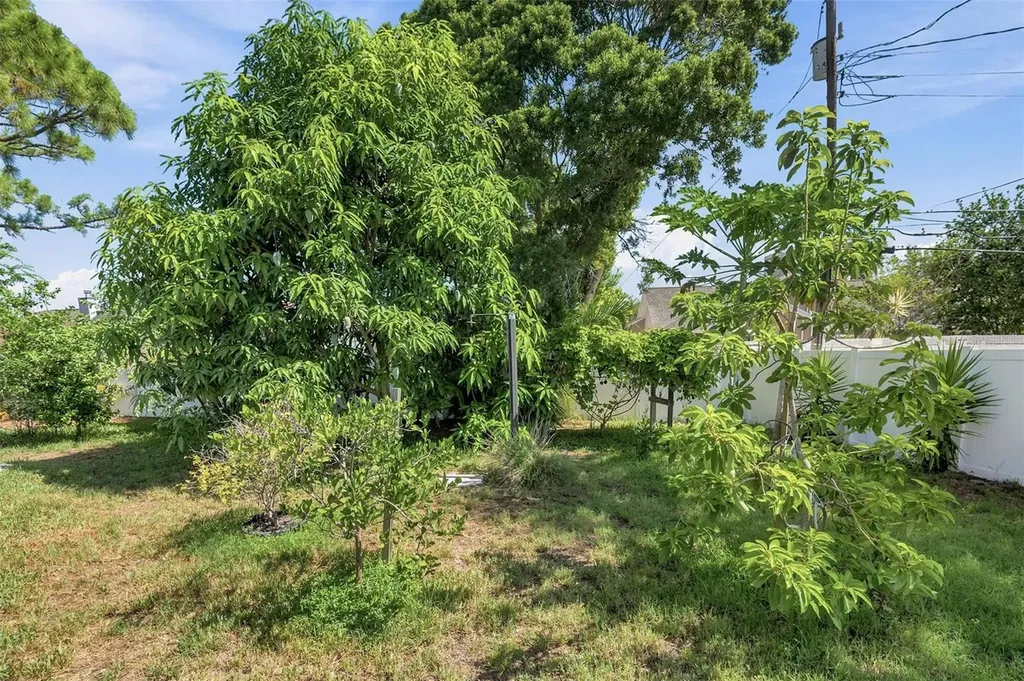 14297 Geneva Drive Largo FL 33774