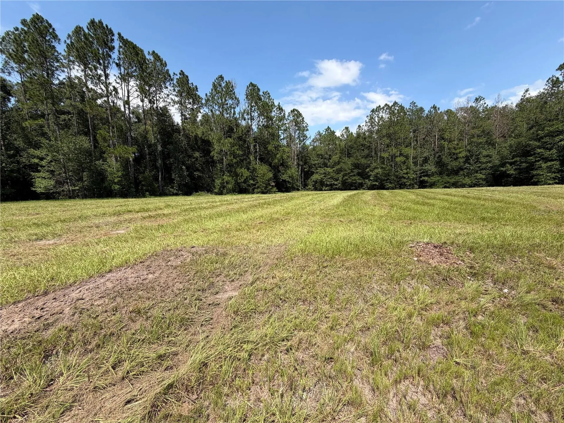 SW Windsor Court Lake City FL 32024