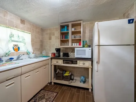 17649 NE 246 Place Fort Mc Coy FL 32134