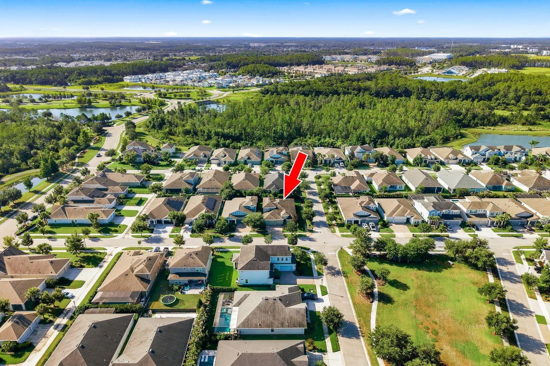 16485 Courtyard Loop Land O Lakes FL 34638