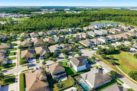 16485 Courtyard Loop Land O Lakes FL 34638