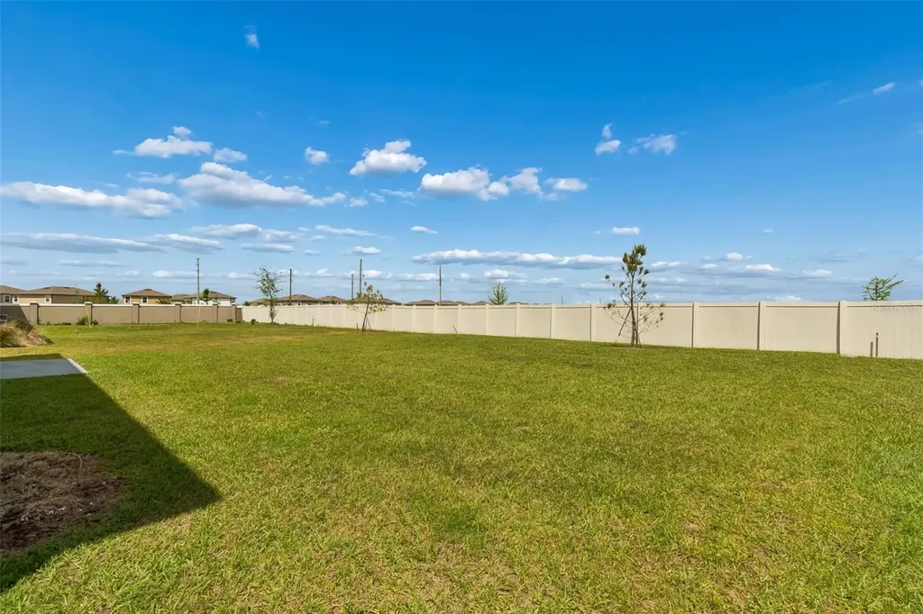 8454 Ender Hills Drive Wesley Chapel FL 33545