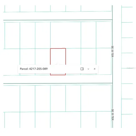 SE 141st Place Summerfield FL 34491
