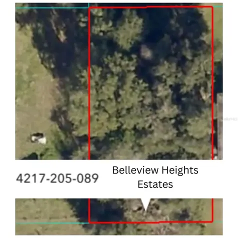 SE 141st Place Summerfield FL 34491