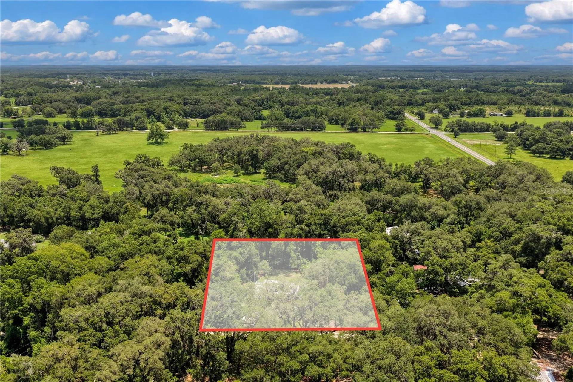 3151 NE 176th Terrace Williston FL 32696