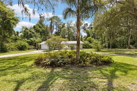 3151 NE 176th Terrace Williston FL 32696