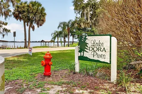660 Oleander Street Mount Dora FL 32757