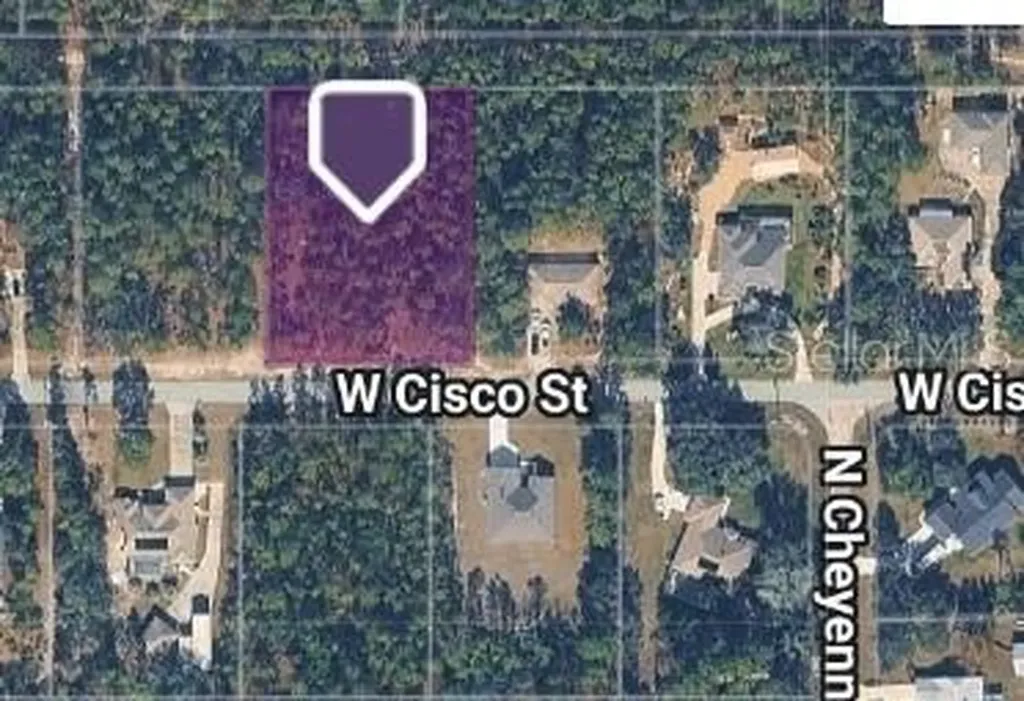 5593 W Cisco Street Beverly Hills FL 34465