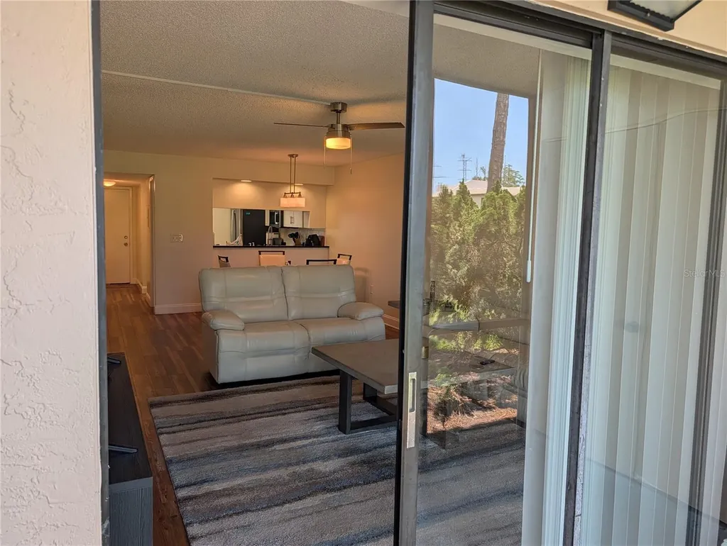 209 Mary Drive Oldsmar FL 34677