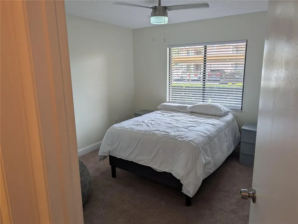 209 Mary Drive Oldsmar FL 34677