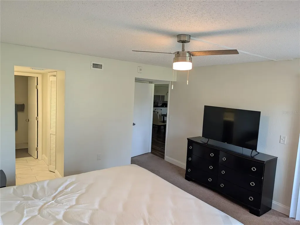 209 Mary Drive Oldsmar FL 34677