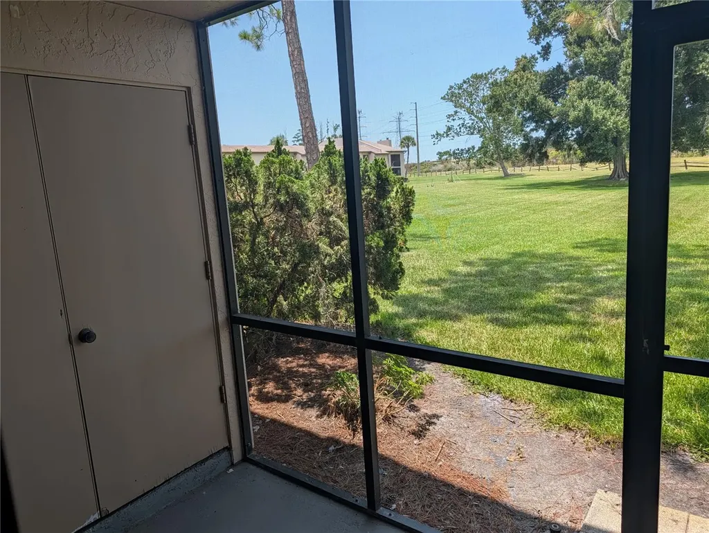 209 Mary Drive Oldsmar FL 34677