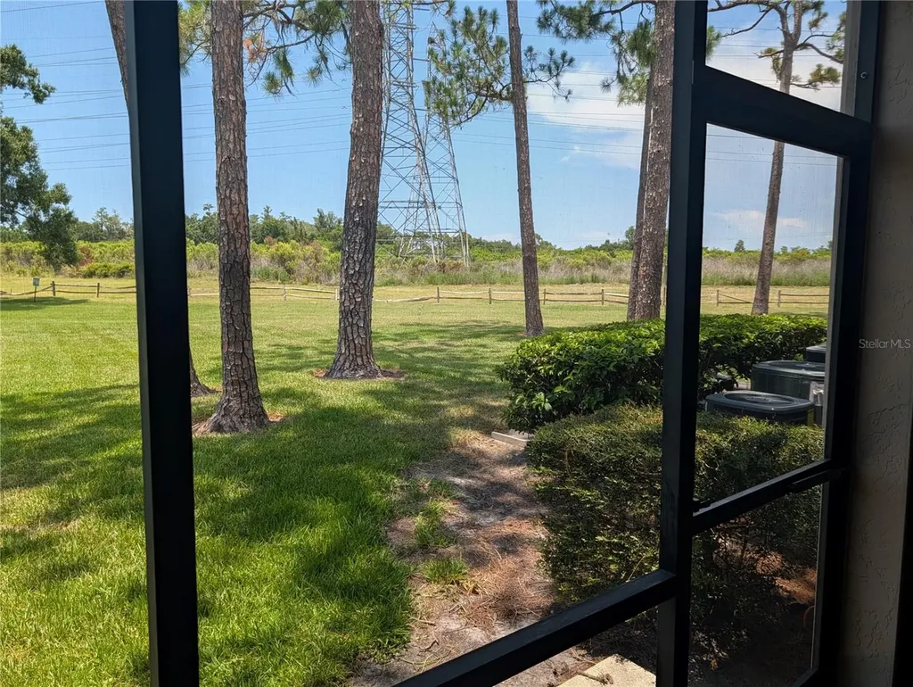 209 Mary Drive Oldsmar FL 34677