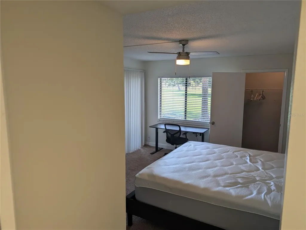 209 Mary Drive Oldsmar FL 34677