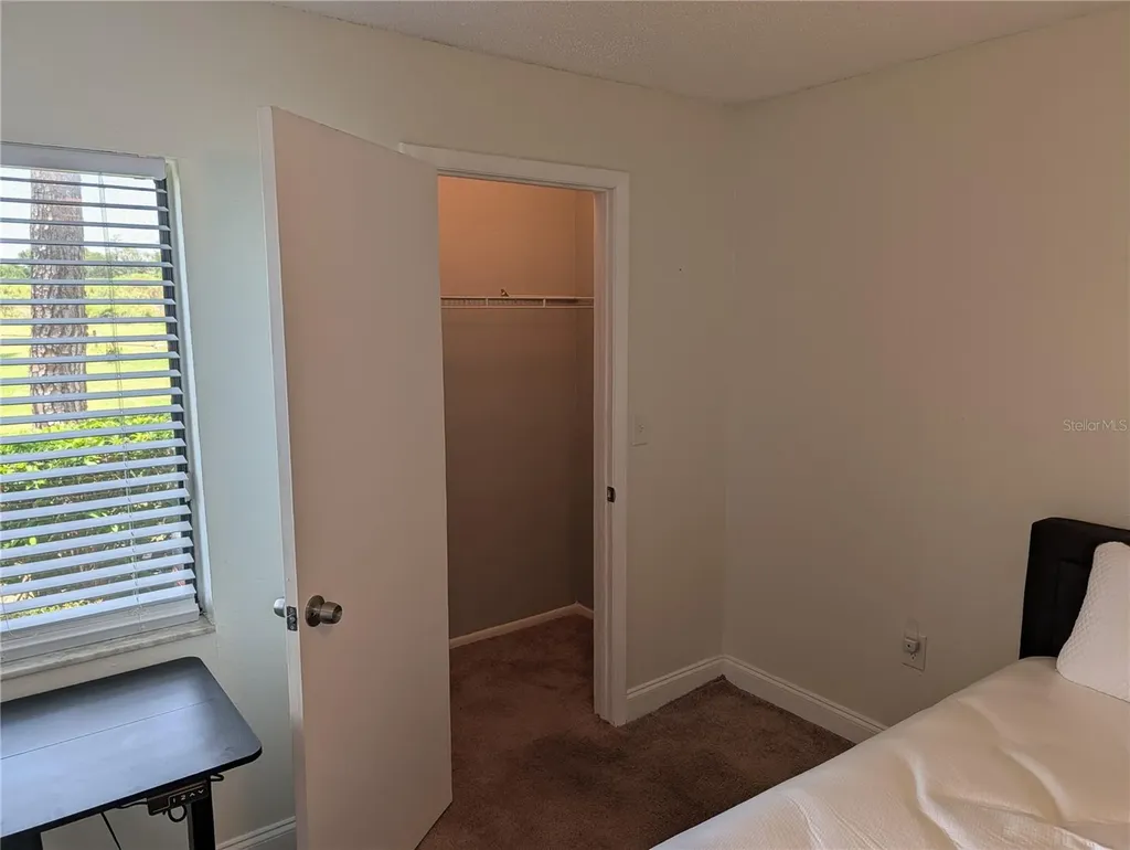 209 Mary Drive Oldsmar FL 34677