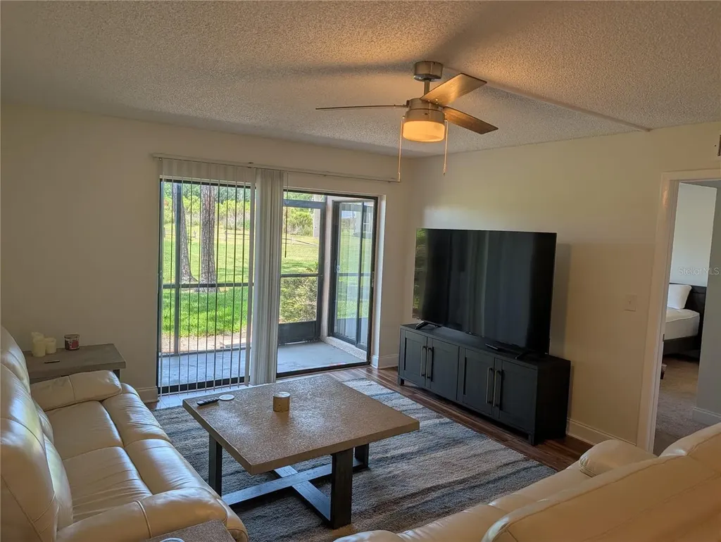 209 Mary Drive Oldsmar FL 34677