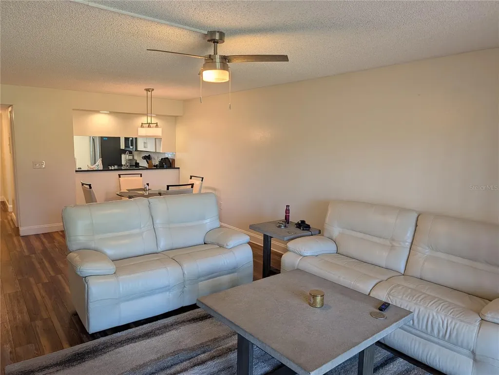 209 Mary Drive Oldsmar FL 34677