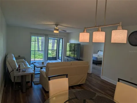 209 Mary Drive Oldsmar FL 34677