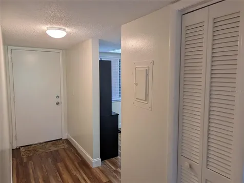 209 Mary Drive Oldsmar FL 34677