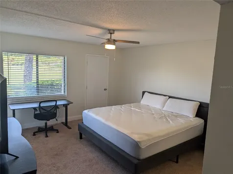209 Mary Drive Oldsmar FL 34677