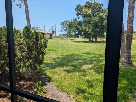 209 Mary Drive Oldsmar FL 34677