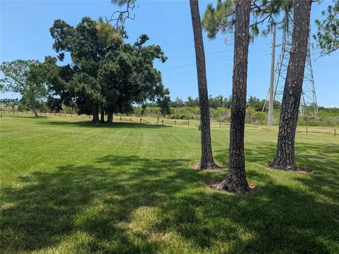 209 Mary Drive Oldsmar FL 34677