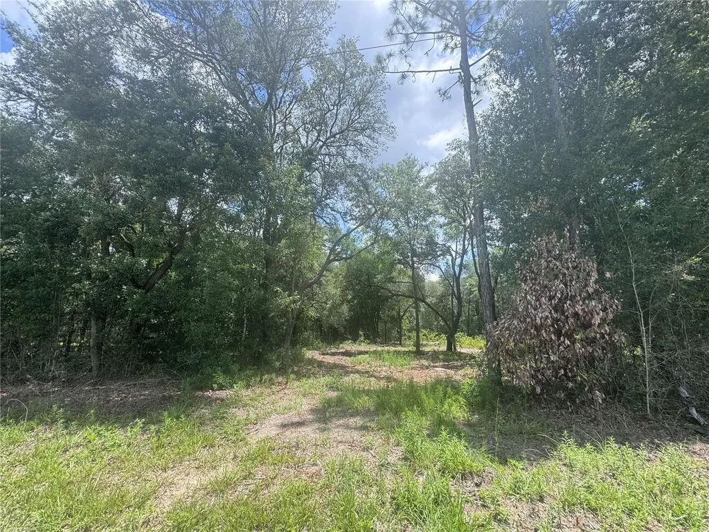 751 NE 139th Avenue Williston FL 32696