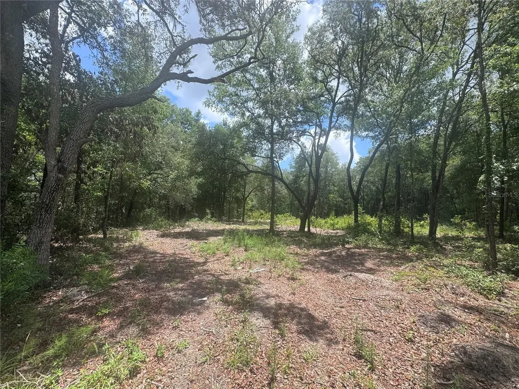 751 NE 139th Avenue Williston FL 32696