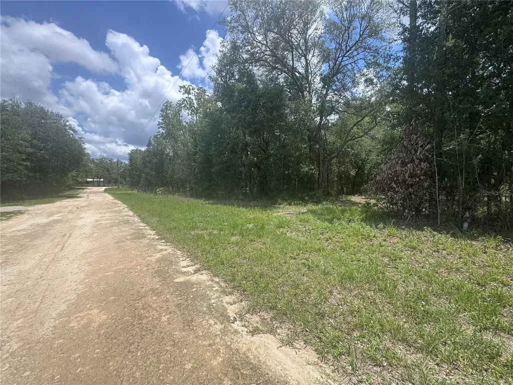 751 NE 139th Avenue Williston FL 32696
