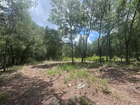 751 NE 139th Avenue Williston FL 32696