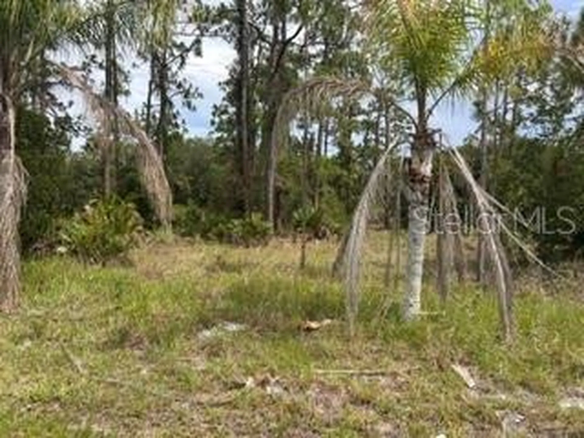 823 Pandora (blk 217 Lot 13) Drive Indian Lake Estates FL 33855