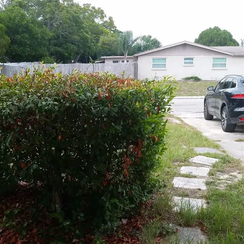 7725 Rottingham Road Port Richey FL 34668