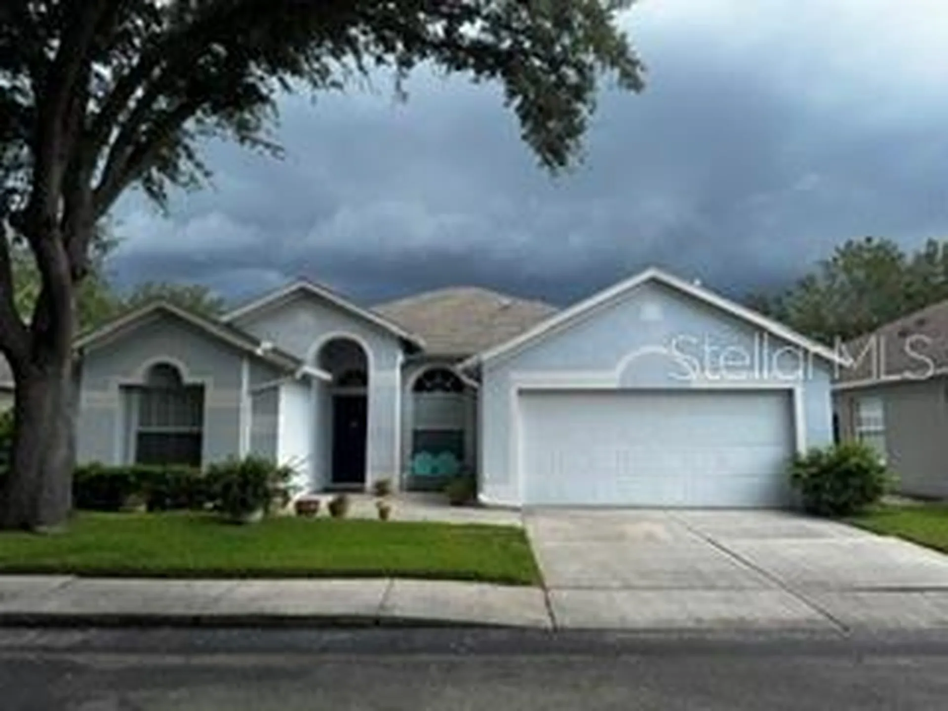 8806 Cypress Hammock Drive Tampa FL 33614