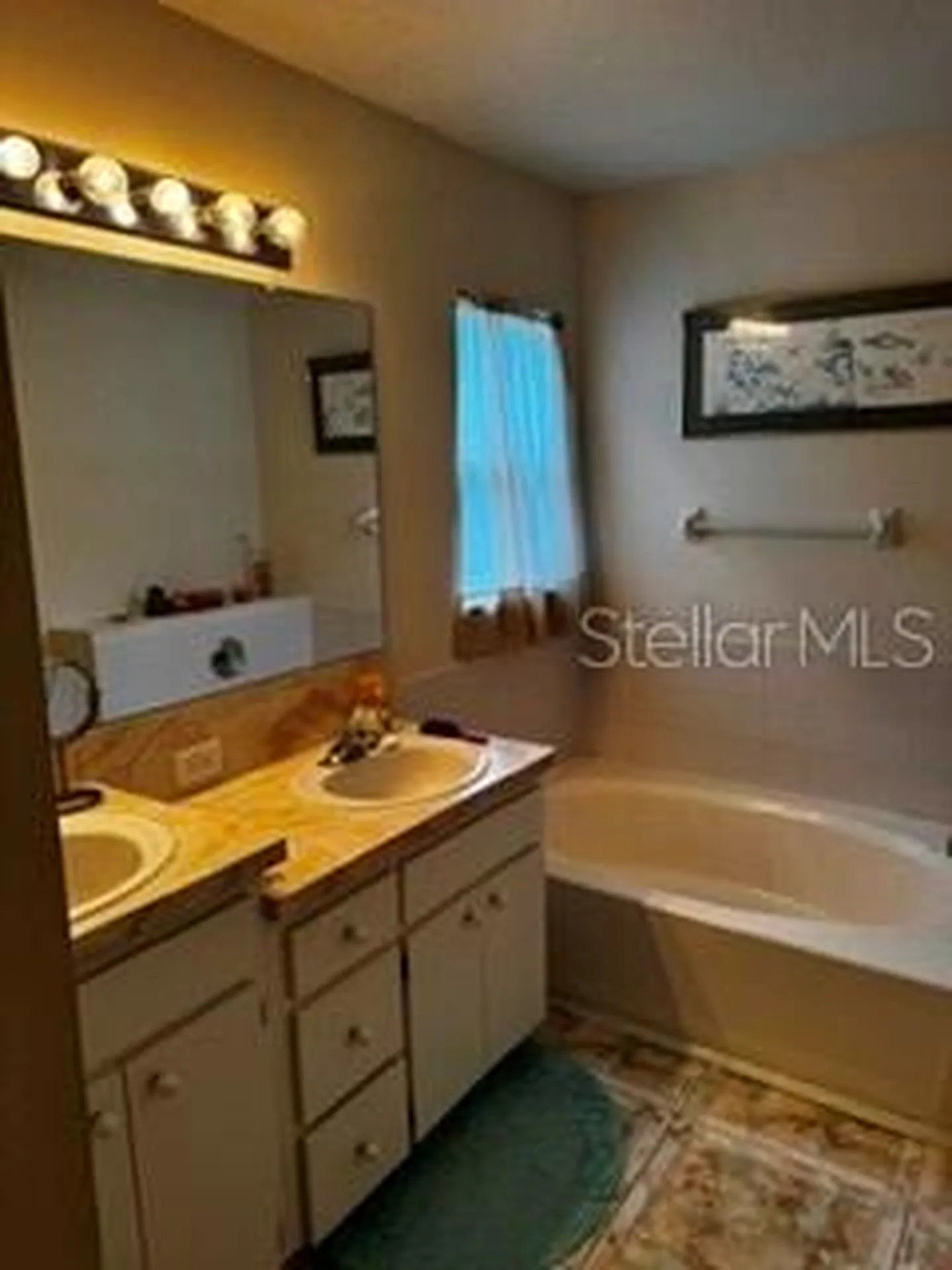 8806 Cypress Hammock Drive Tampa FL 33614