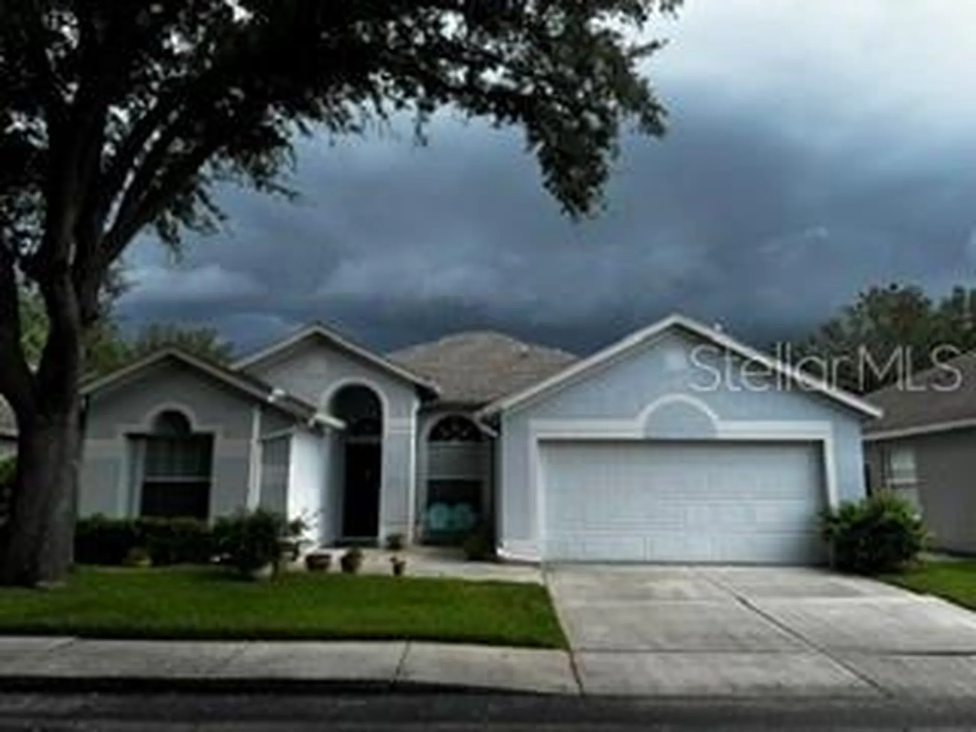 8806 Cypress Hammock Drive Tampa FL 33614