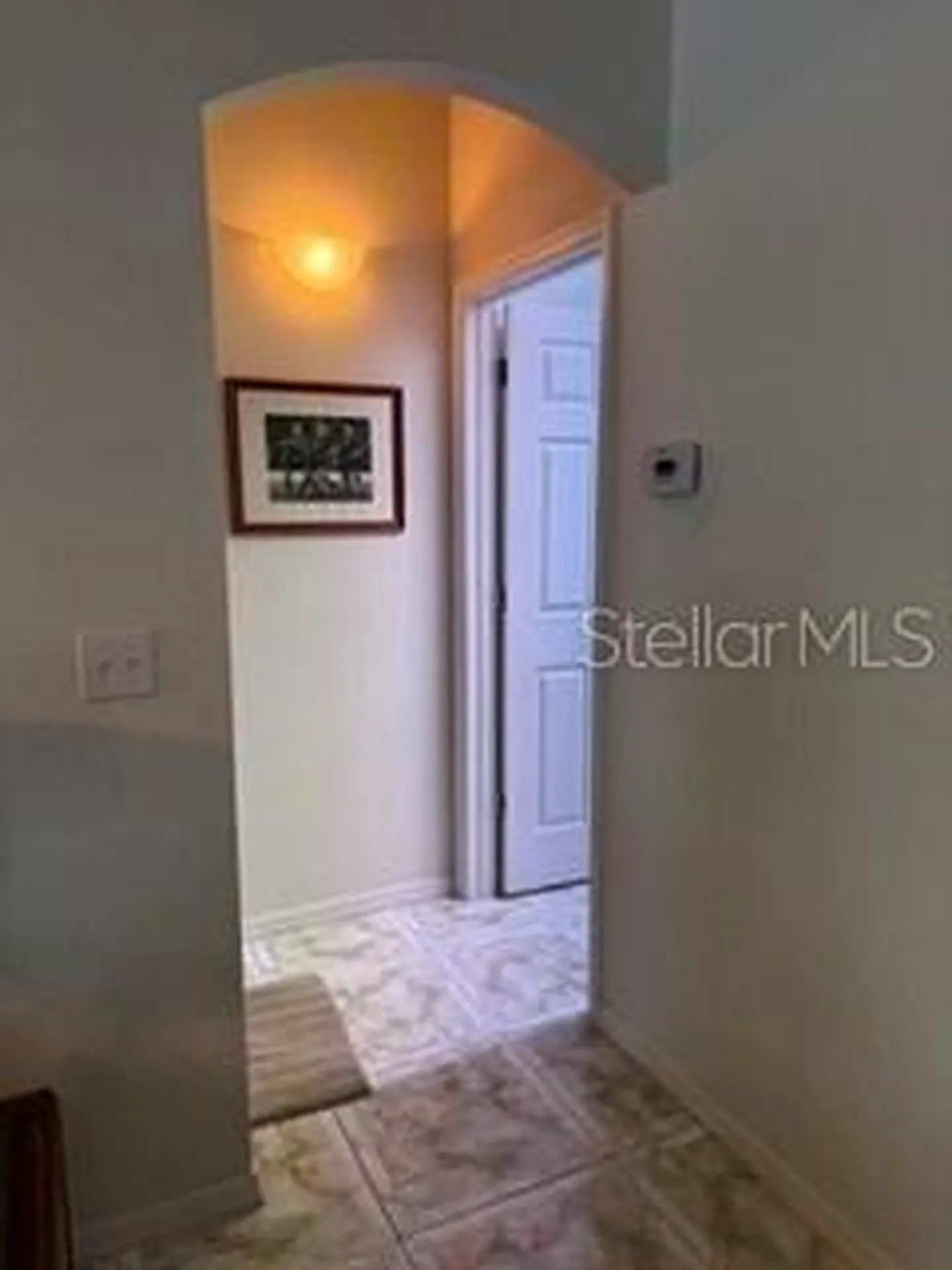 8806 Cypress Hammock Drive Tampa FL 33614