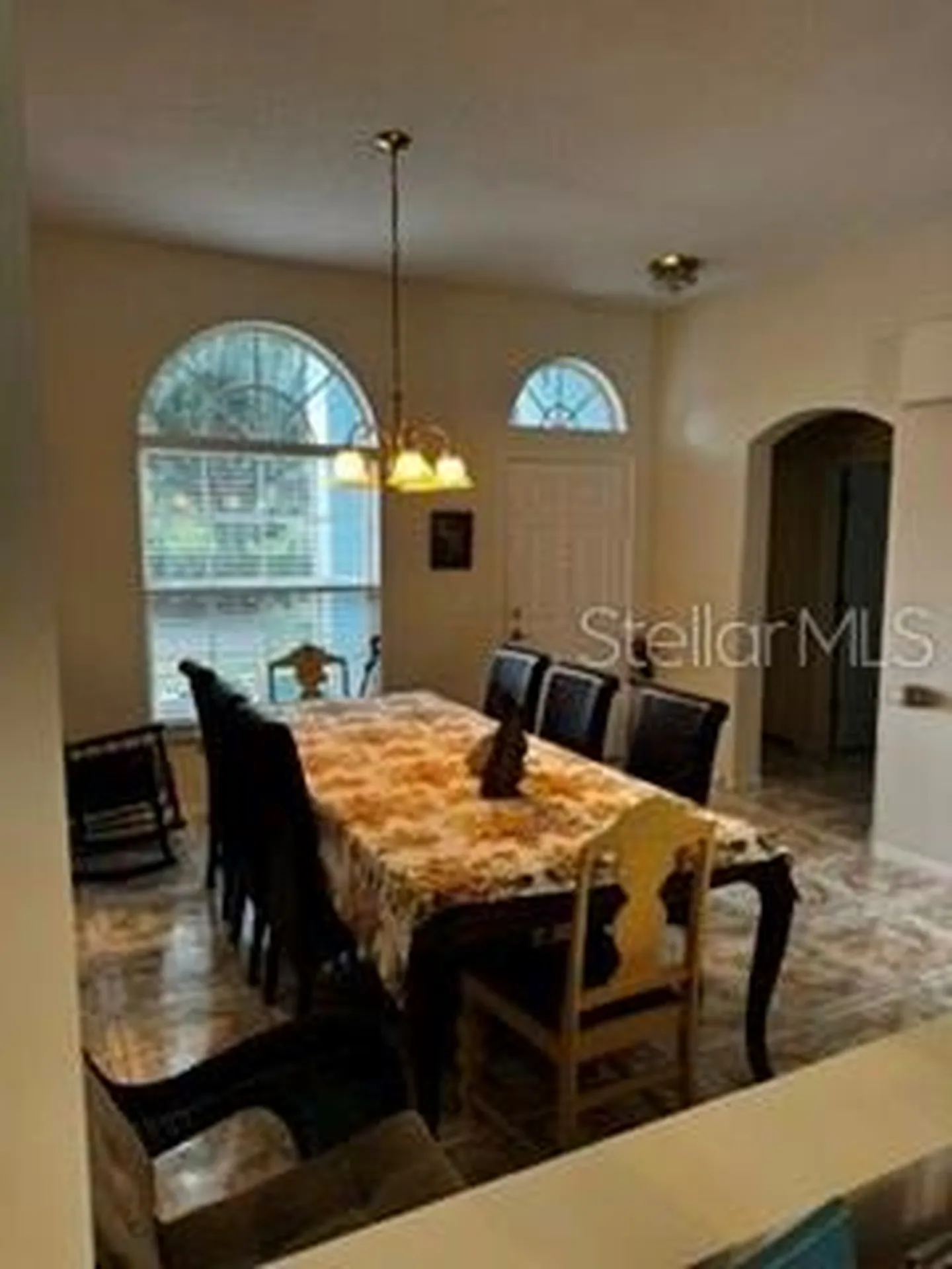 8806 Cypress Hammock Drive Tampa FL 33614