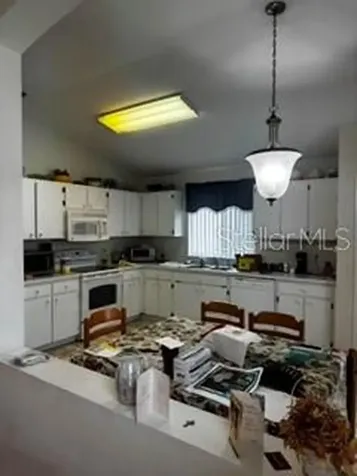 8806 Cypress Hammock Drive Tampa FL 33614