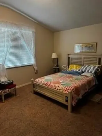 8806 Cypress Hammock Drive Tampa FL 33614