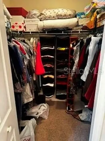 8806 Cypress Hammock Drive Tampa FL 33614