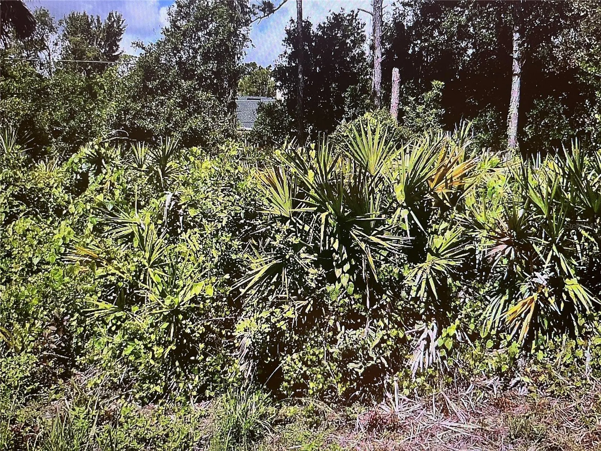 Lot 14&15 Paola Street North Port FL 34287