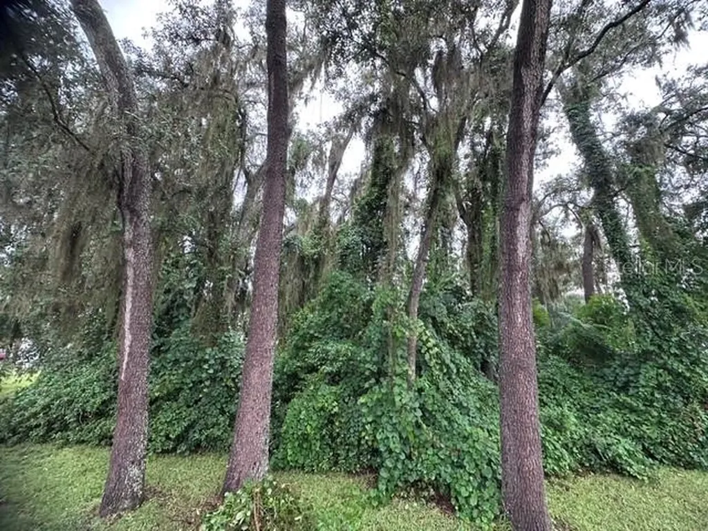 444 Quail Street Lady Lake FL 32159