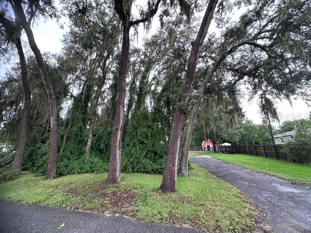 444 Quail Street Lady Lake FL 32159