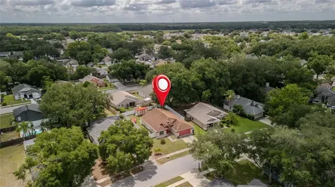 1604 Coppersmith Court Lutz FL 33559