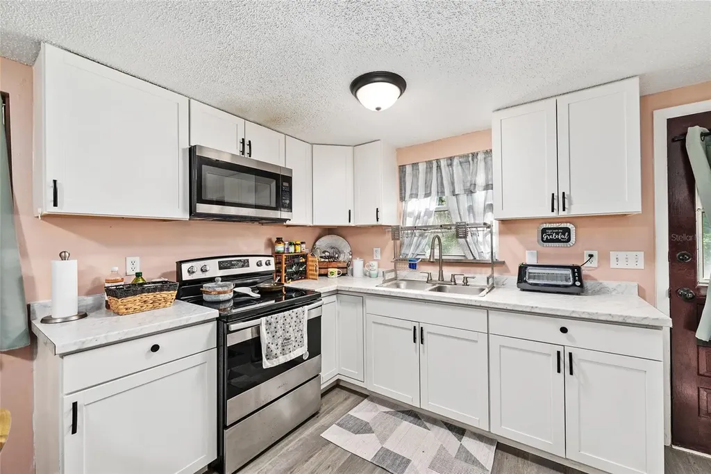25140 NE 133rd Place Salt Springs FL 32134