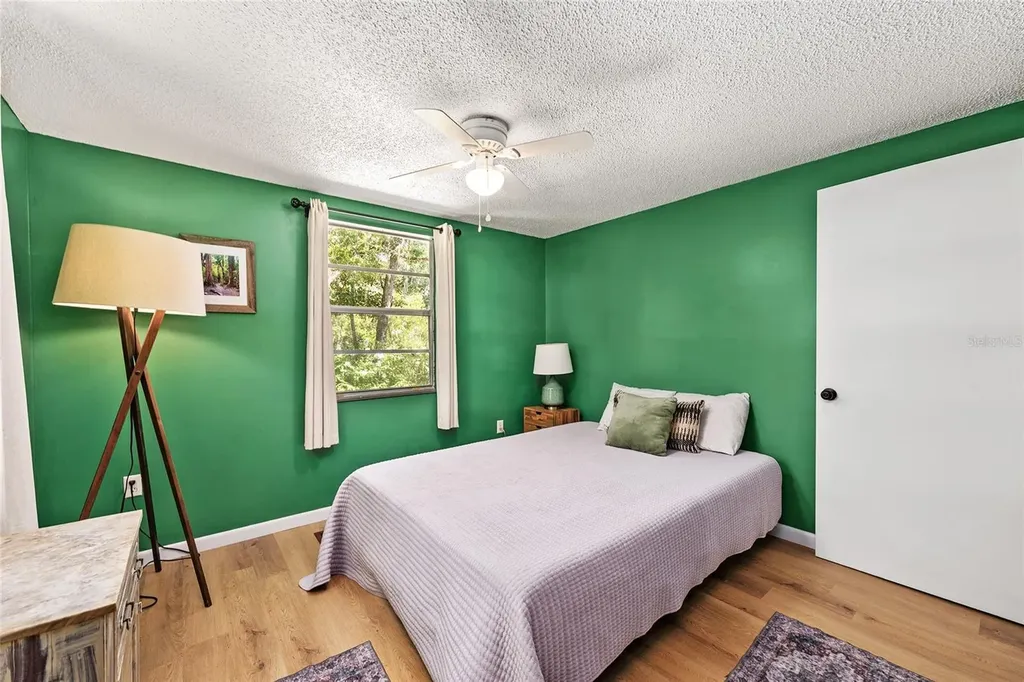 25140 NE 133rd Place Salt Springs FL 32134