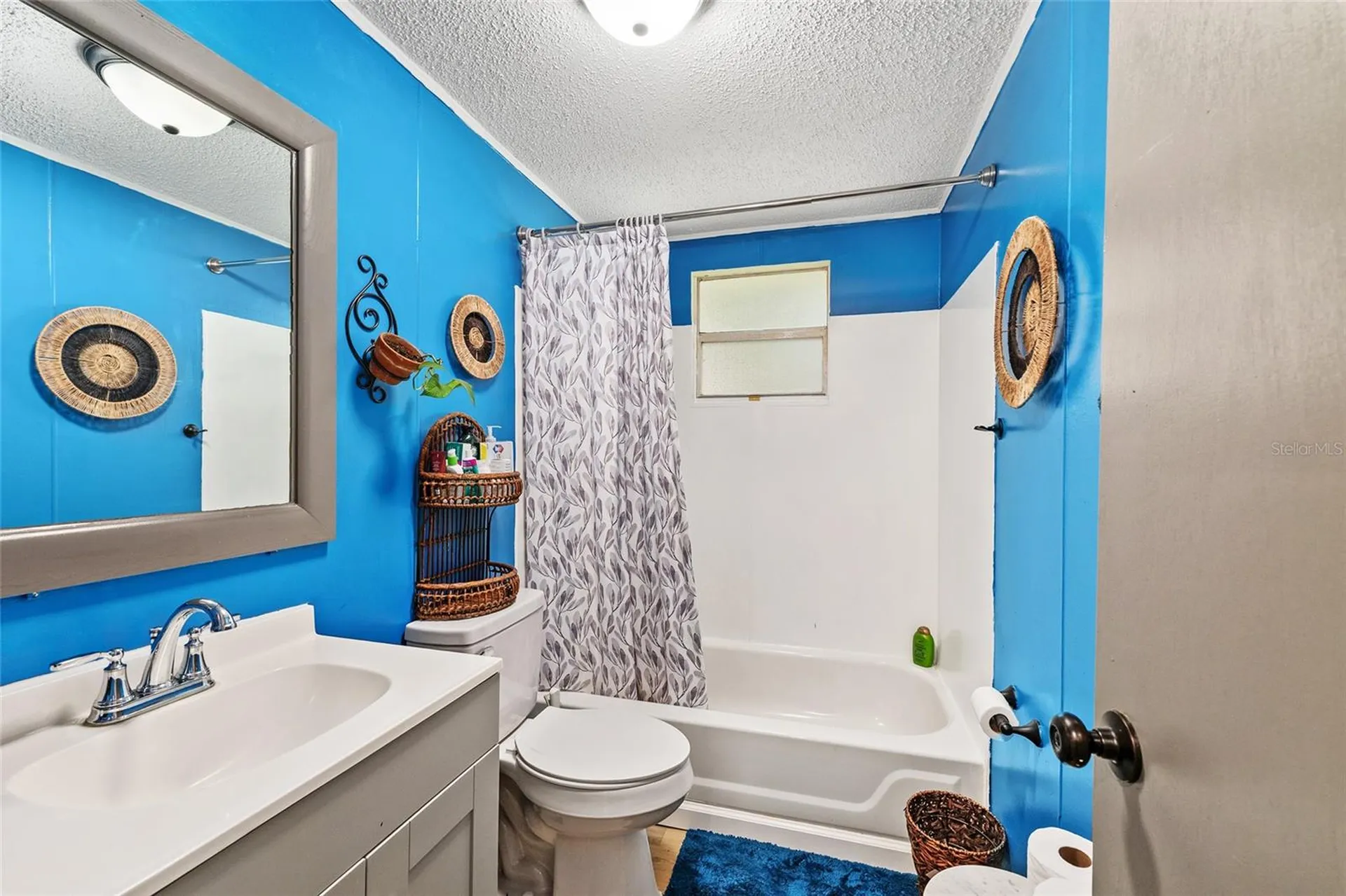 25140 NE 133rd Place Salt Springs FL 32134