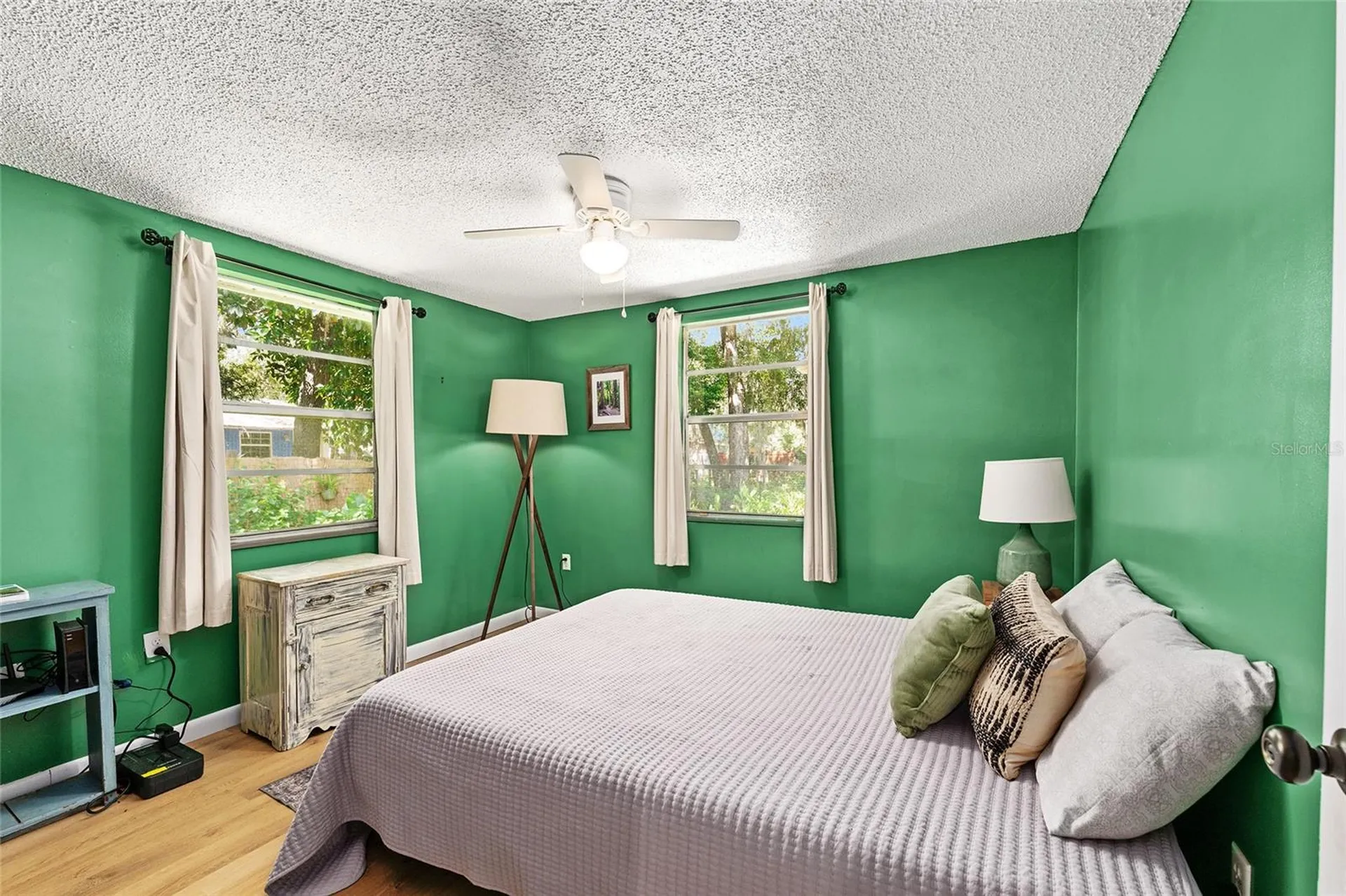 25140 NE 133rd Place Salt Springs FL 32134