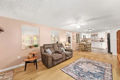 25140 NE 133rd Place Salt Springs FL 32134